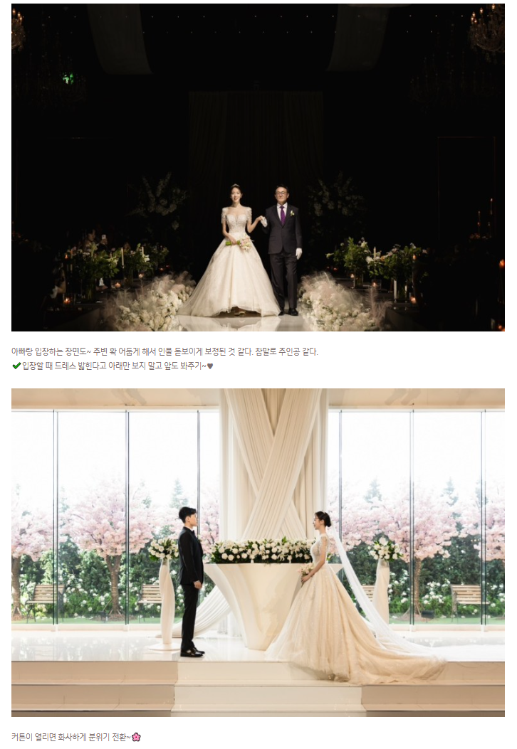 아버지와 입장