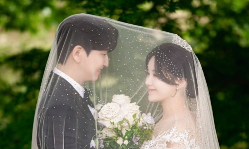 베일 클로즈업(2)